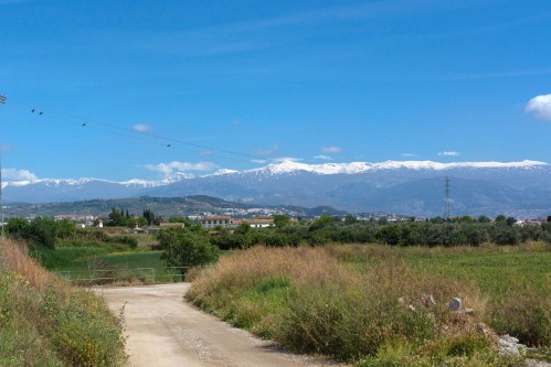 Sierra Nevada con nieve desde Albolote